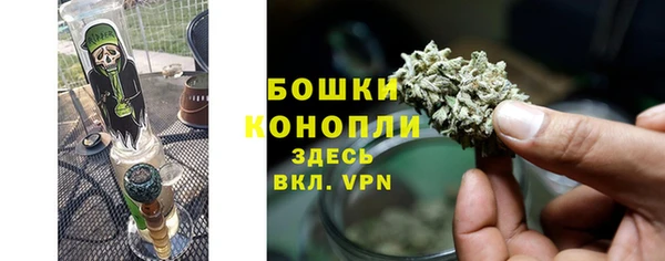 дживик Саяногорск
