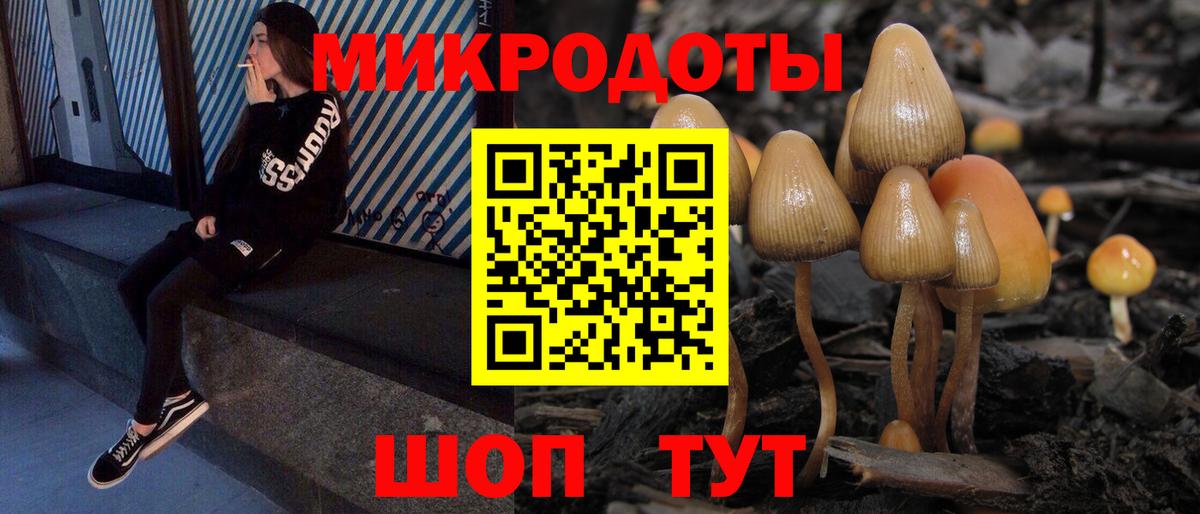 Калач-на-Дону  Галлюциногенные грибы GOLDEN TEACHER  Вход с VPN 