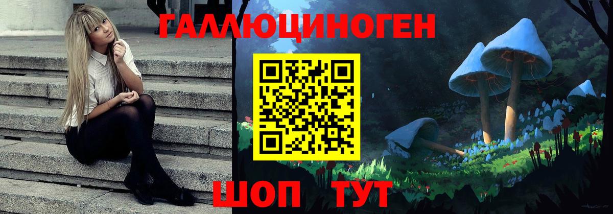 Псилоцибиновые грибы Psilocybine cubensis Калач-на-Дону